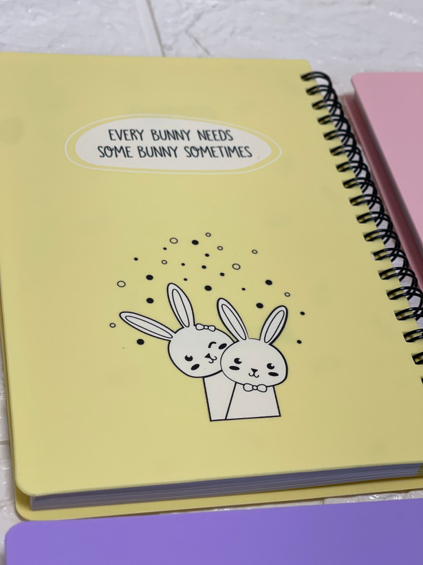 دفتر یادداشت ۱۰۰ برگ سیمی پاپکو طرح خرگوش Funny Bunnies (سایز B6)